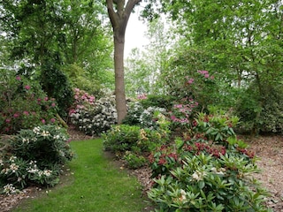 Maison de vacances Nakskov  8