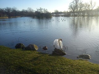 Casa de vacaciones Nakskov  13