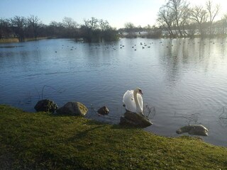 Casa de vacaciones Nakskov  15