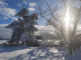 Ferienhaus Aywaille Außenaufnahme 5