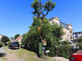 Apartment Ahlbeck (Usedom) Außenaufnahme 5