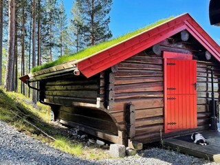 Vakantiehuis Welt Buitenaudio-opname 16