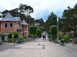 Apartment Trassenheide Umgebung 21