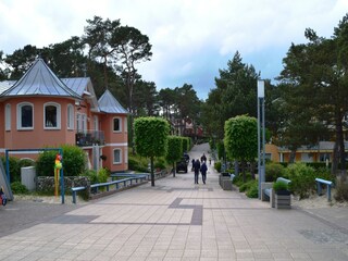 Appartement Trassenheide Omgeving 18