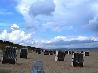 Appartement Trassenheide Omgeving 19