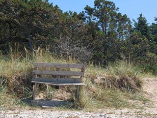 Ferienhaus Trend  25