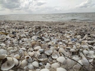 Ferienhaus Trend  12