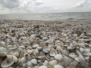 Maison de vacances Trend  12