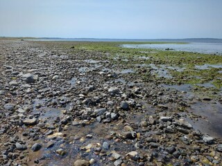 Vakantiehuis Trend  35