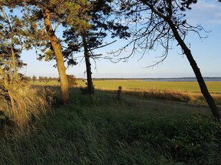 Casa per le vacanze Trend  19