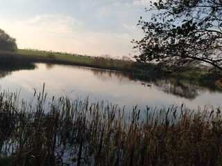 Holiday house Trend  21