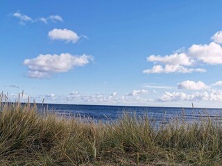 Vakantiehuis Egense  23