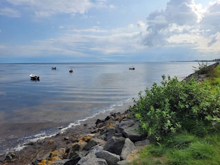 Maison de vacances Egense  31