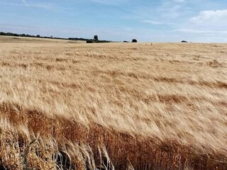 Ferienhaus Bjerge Strand  28