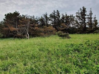 Vakantiehuis Bjerge Strand  6