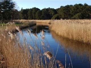 Maison de vacances Bjerge Strand  7