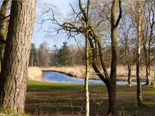 Vakantiehuis Bjerge Strand  8