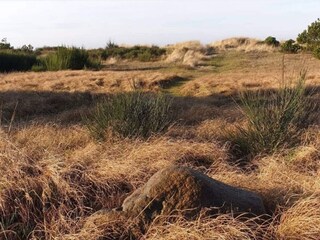 Maison de vacances Bjerge Strand  22