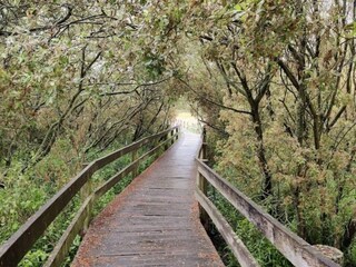Ferienhaus Bjerge Strand  10