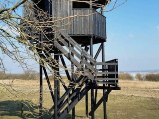 Ferienhaus Bjerge Strand  16