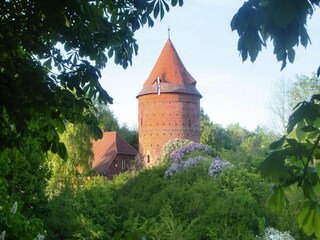 Appartamento Plau am See Registrazione all'aperto 4