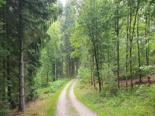 Vakantiehuis Trend  7