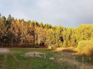 Ferienhaus Trend  9