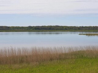 Vakantiehuis Trend  36