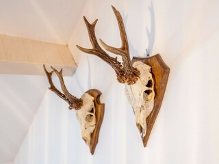 Appartamento Baarle-Nassau  38