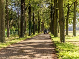 Appartement Baarle-Nassau Environnement 37