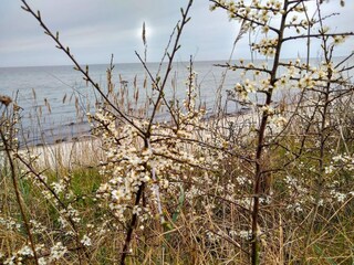 Casa per le vacanze Uslev  27