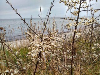 Vakantiehuis Uslev  18