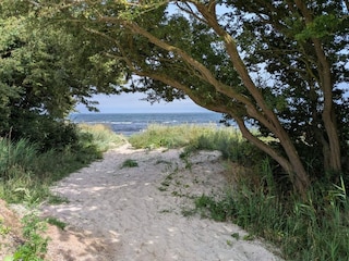 Ferienhaus Uslev  20