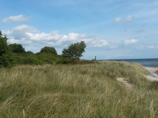 Ferienhaus Uslev  28