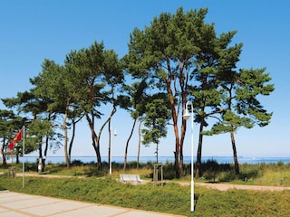 Ferienhaus Glowe Umgebung 25
