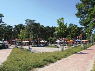 Ferienhaus Glowe Umgebung 27