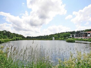 Appartement Hahnenklee Environnement 13