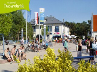 Appartement Trassenheide Environnement 12