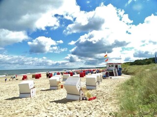 Appartement Trassenheide Omgeving 14