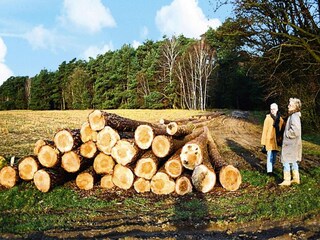 Appartamento Lünow Ambiente 15