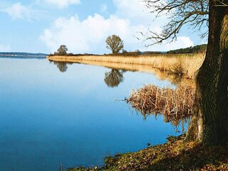 Appartamento Lünow Ambiente 14