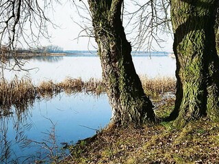 Apartment Lünow Umgebung 15