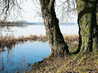 Appartement Lünow Omgeving 15