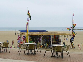 Vakantiehuis Damp Omgeving 36