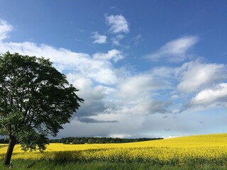 Vakantiehuis Gallin-Kuppentin Omgeving 16