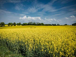 Holiday house Gallin-Kuppentin Environment 35