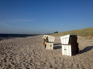 Ferienhaus Gallin-Kuppentin  40