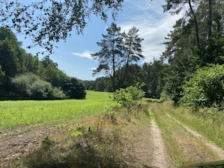 Ferienhaus Gallin-Kuppentin Umgebung 28