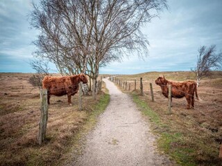 Vakantiehuis Gallin-Kuppentin Omgeving 22