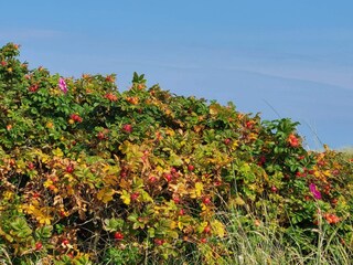 Holiday house Lyngså  20